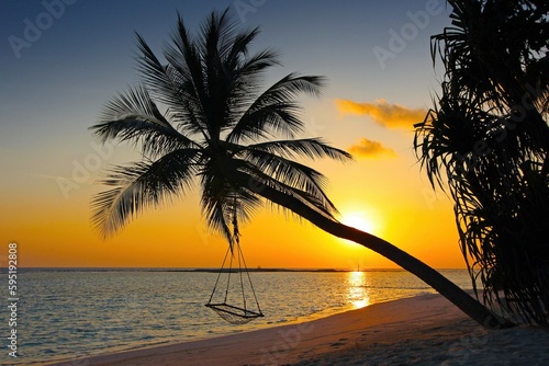 Palme mit Schaukel und Sonnenaufgang photo