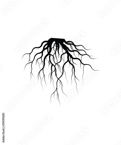 roots icon, vector best flat icon.