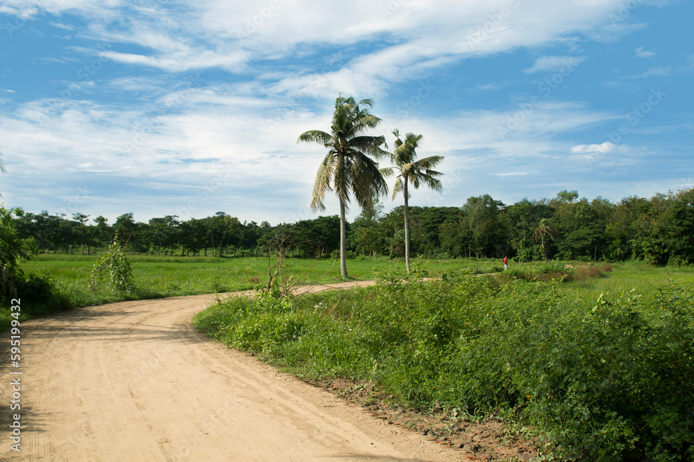 A under constriction brick road in a rural area of Chittagong. Morning scenery of a Bangladeshi village. coconut tree beside the mud pathway.
A under constriction brick road in a rural area of Chittagong. Morning scenery of a Bangladeshi village. coconut tree beside the mud pathway.