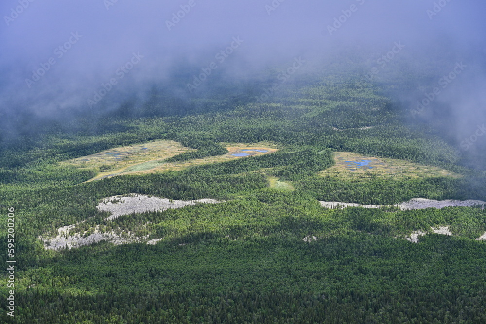Fototapeta premium Wild swamp near Big Iremel Mount, Bashkortostan Republic of Russia