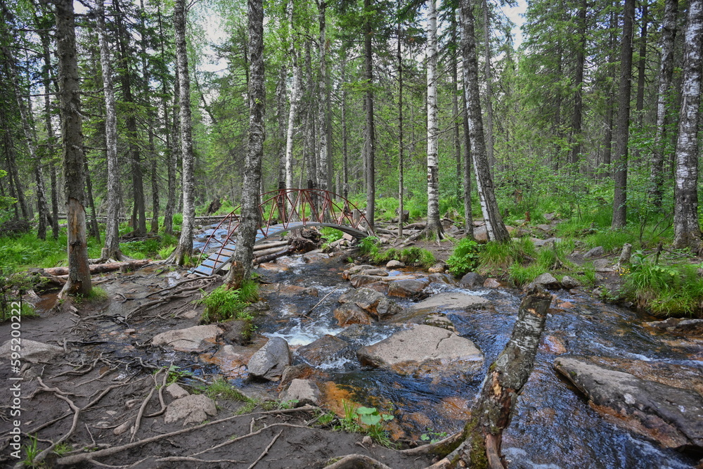 Forest spring flowing from the mountain Forest spring flowing from the mountain