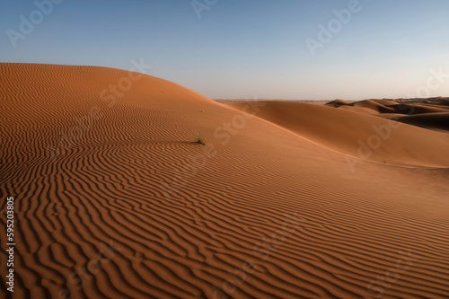 Sunset on ripples on Sand Dunes of Wahiba Sands Desert, Oman © tapanuth