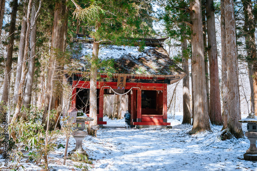 The big red togakushi shrine stands in the snowy forest in Togakushi Japan. Tall old cedar trees and snow on the forest floor. A famous historical Shinto shrine. photo