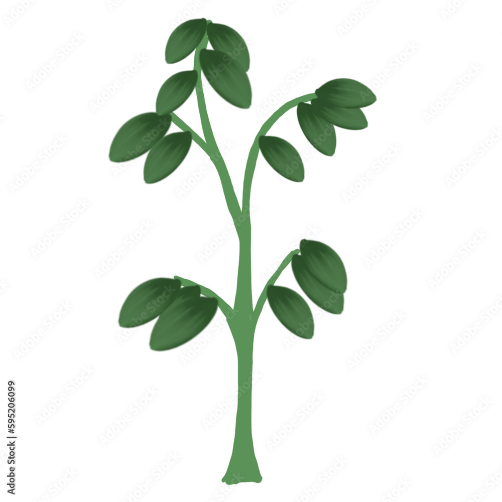 green leaves isolated on white background green leaves isolated on white background
