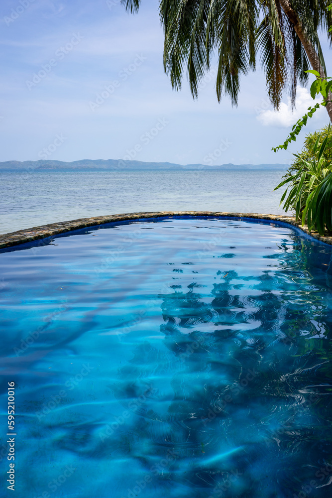 A refreshing infinity pool with clear blue water overlooking the Philippine Sea. Next to the pool are tropical plants and a palm tree.