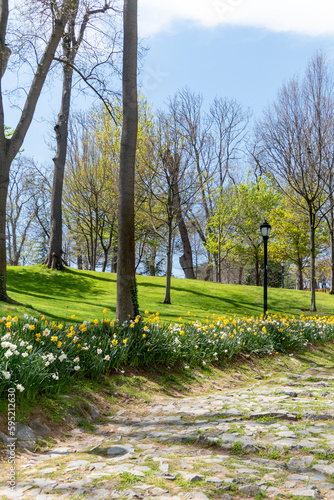 Fresh Green Istanbul City Park at Spring time