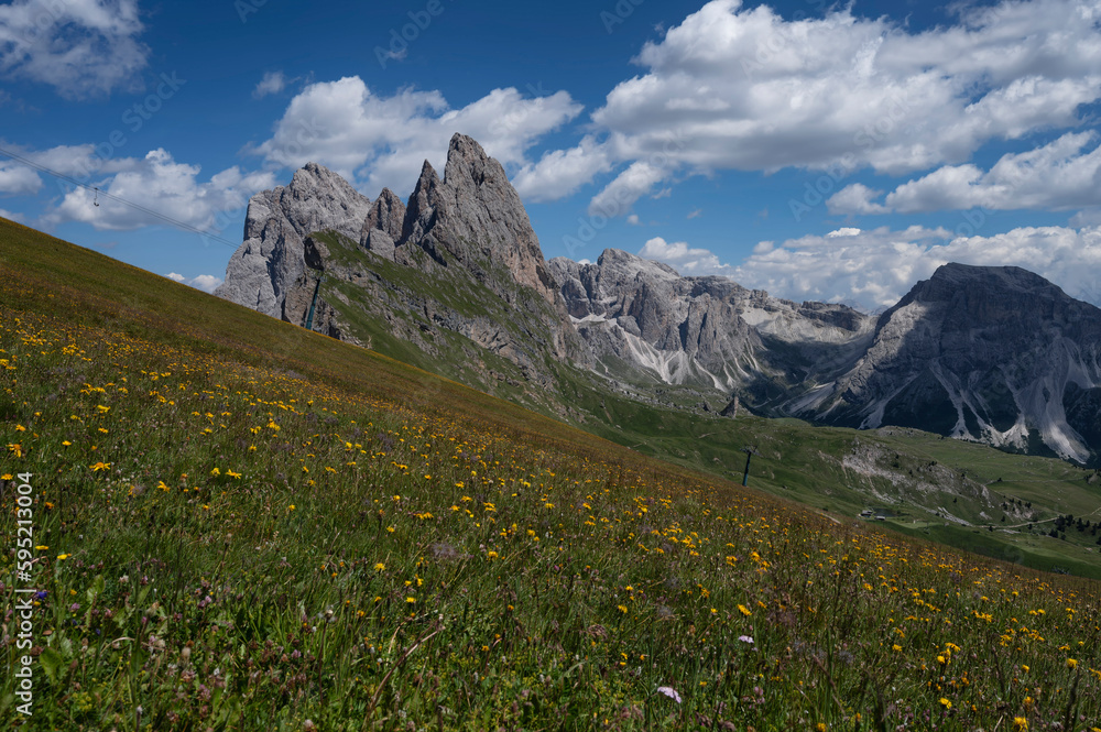 Seceda peak in Ortisei in Summer with flower blooms, Dolomites, Italy