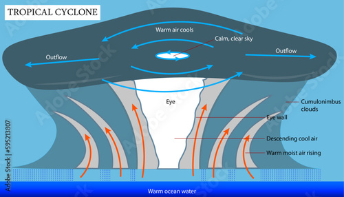 Diagram of the tropical cyclone with labelled parts
