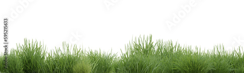 Green grass border on transparent background, nature meadow, green field, 3d render illustration.