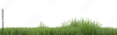 Green grass border on transparent background, nature meadow, green field, 3d render illustration.