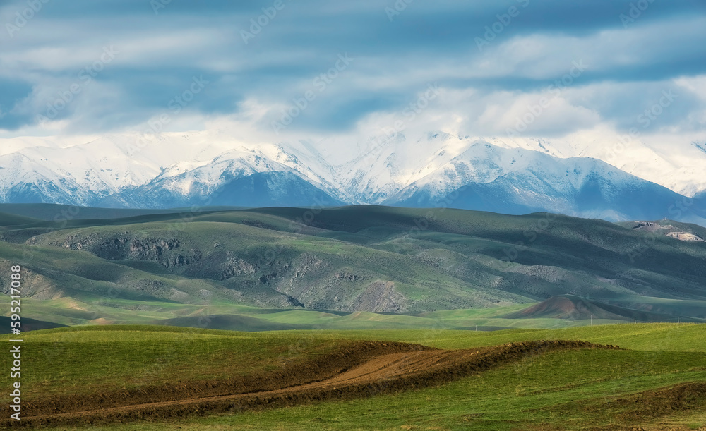Green hills near a snowy mountains. Beautiful spring mountain landscape.