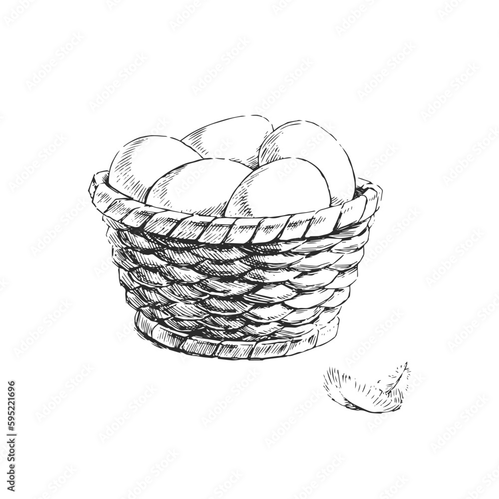 Vector hand-drawn illustration of a basket with white eggs in the style of an engraving. Sketch of a fresh natural product.