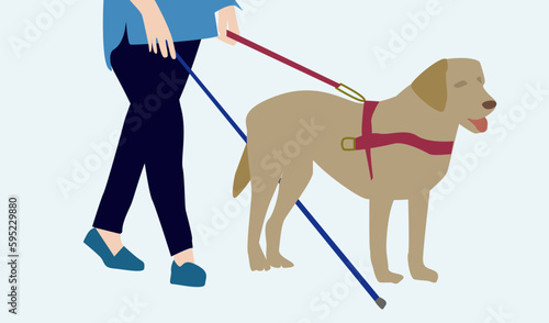 Woman with her guide dog vector