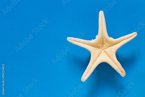   Flat lay composition with beautiful starfish on colored blue table. Vacation concept. Summer time concept. Top view, mockup, copy space for text.  © Olena Svechkova