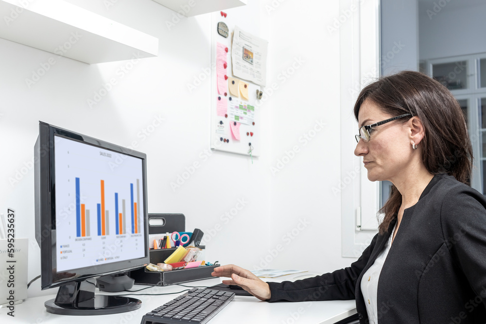 mature business woman telecommuting from home mature business woman telecommuting from home