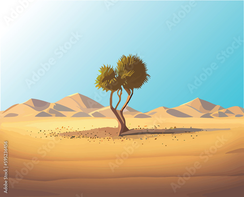 little tree in the desert