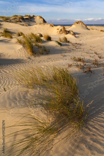 Sand dunes in Valdoviño beach in the coast of Galicia at sunset in a sunny day. A Coruña, Spain.