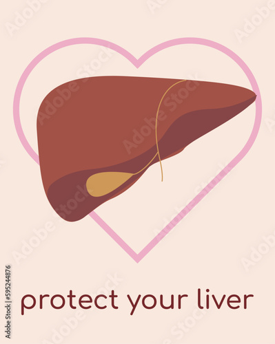 Poster with the image of the liver for medical institutions. Medicine for people. human liver. Treatment and protection of the liver. Vector flat image of liver for posters, business cards, banners.