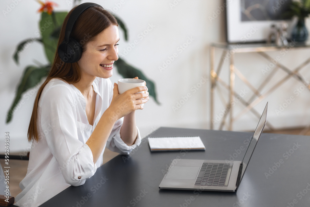 Business woman employee CEO hr manager having online conference interview with job candidate Female talking remotely to team or partner using laptop Business woman employee CEO hr manager having online conference interview with job candidate Female talking remotely to team or partner using laptop
