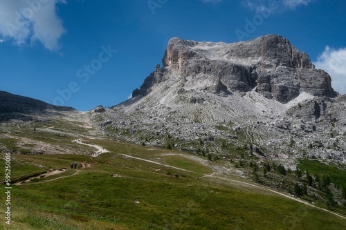 Cinque Torri meadow in Dolomites, Italy during summer with flower blossoms.