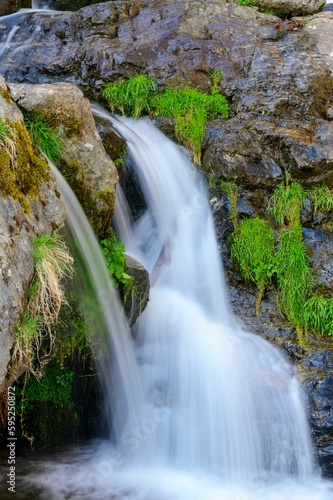 Long exposure shot of a waterfall in a forest.