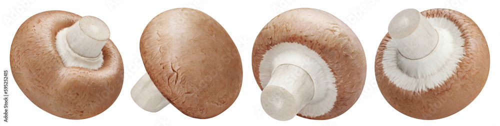 Collection of fresh champignon mushrooms, cut out Collection of fresh champignon mushrooms, cut out