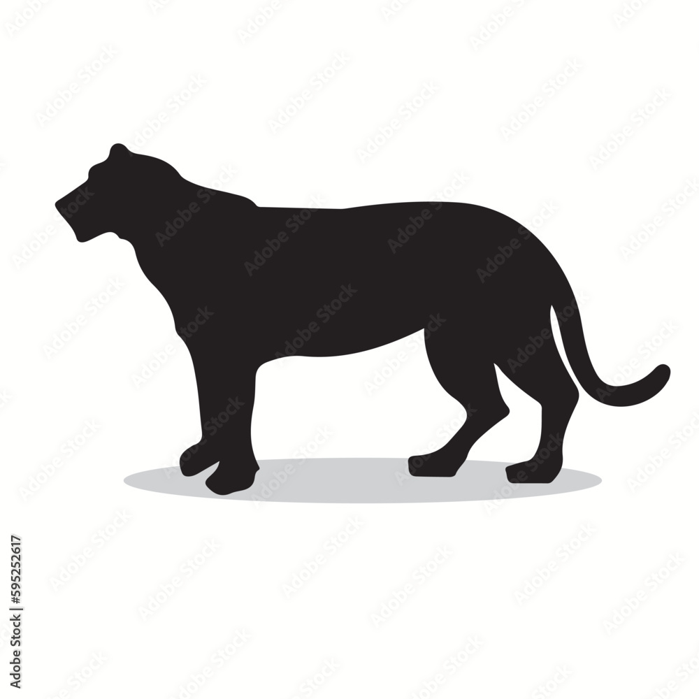 Tiger silhouettes and icons. Black flat color simple elegant Tiger animal vector and illustration.