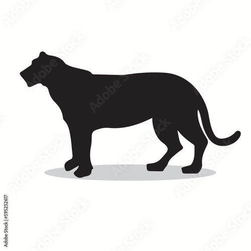 Tiger silhouettes and icons. Black flat color simple elegant Tiger animal vector and illustration. © Charlie