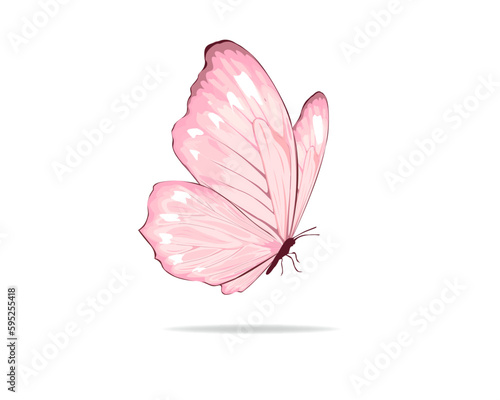 pink flower isolated on white