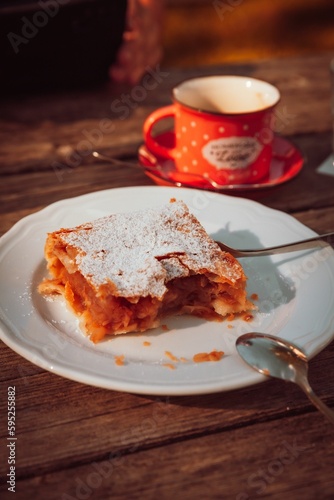 Appetizing freshly made strudel with a powdered sugar topping served with a cup of coffee