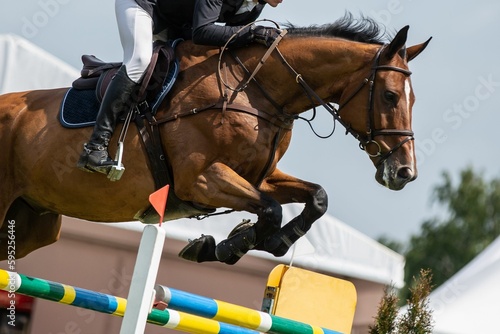 Professional horse jumping over a hurdle at an equestrian competition photo
