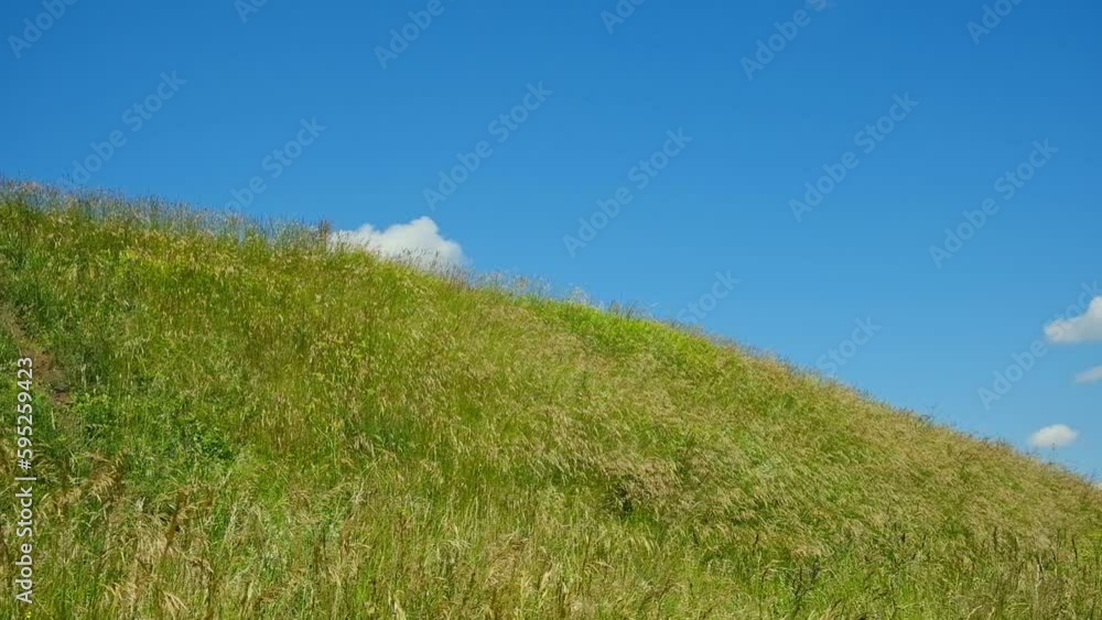 Green field against the blue sky. Horizon View from small hills. Looking up. Perfect Summer minimalist Nature background. idyllic rural landscape. Meadow and deep blue cloudy skies. Copyspace. Green field against the blue sky. Horizon View from small hills. Looking up. Perfect Summer minimalist Nature background. idyllic rural landscape. Meadow and deep blue cloudy skies. Copyspace.