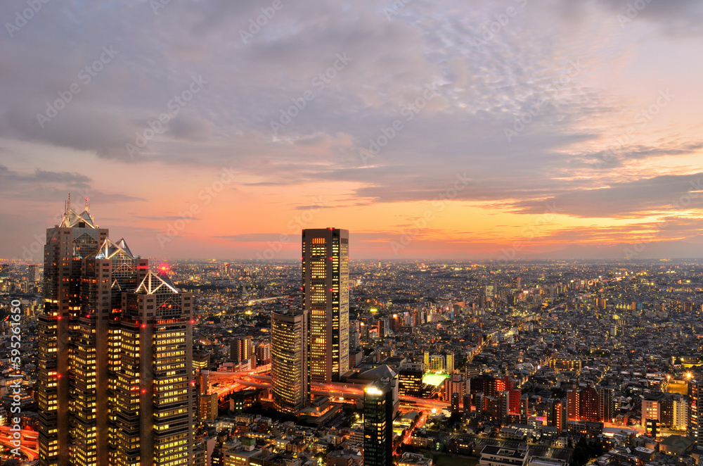 東京都庁から見る新宿の夕景