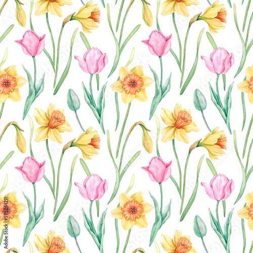 Seamless drawing with watercolor blooming pink tulips and yellow daffodils on a green stem with leaves on a white background. Hand-painted spring flowers. Design for wrapping paper, cover, textiles. © Svetlana