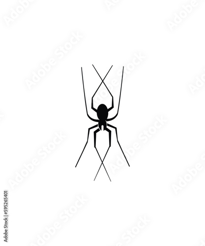 spider icon, vector best flat icon.