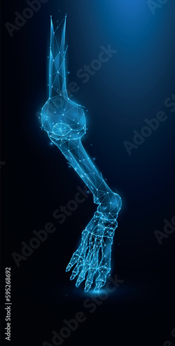 Polygonal vector illustration of leg bones on a dark blue background. Knee and ankle joint Polygon Design.