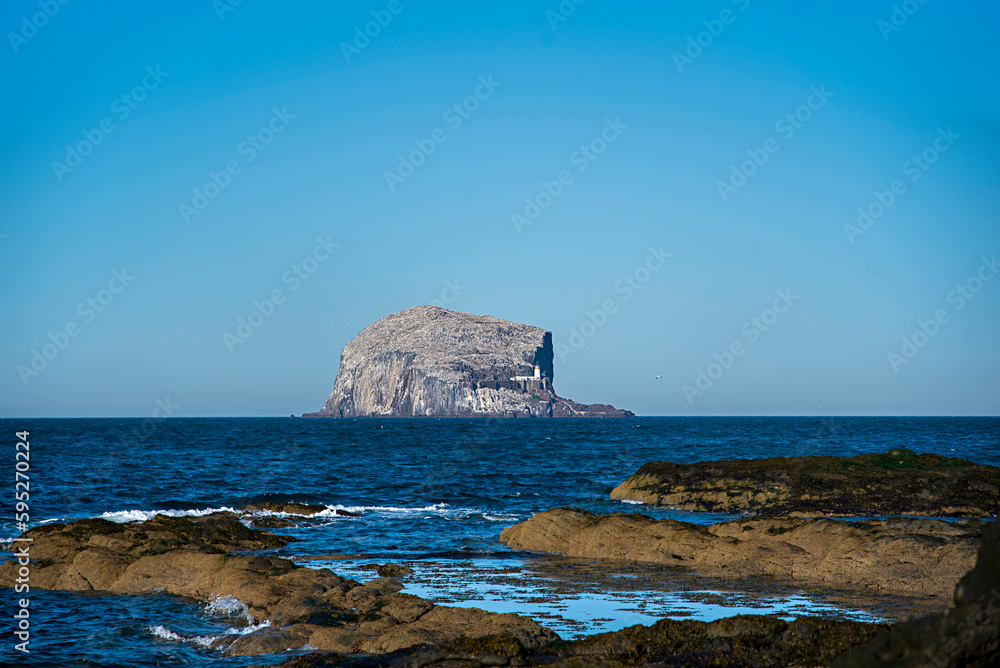 Landscape photography of North Sea coast, serenity, scenery, panorama, rock, stone, rocky, daffodils, Scotland Landscape photography of North Sea coast, serenity, scenery, panorama, rock, stone, rocky, daffodils, Scotland