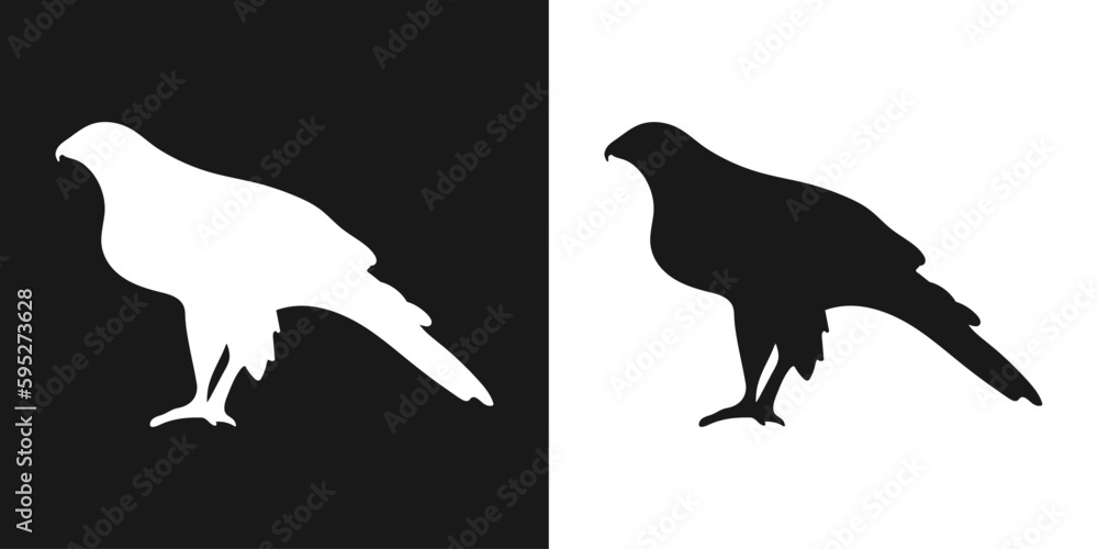 Vector set of decorative, detailed, isolated falcon in black on white background