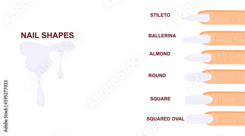 Vector isolated collection of nail types with an inscription. Flat vector. Manicure. Oval, square, round, shapes. Set of different shapes of nails.