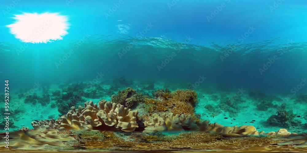 Tropical coral reef seascape with fishes, hard and soft corals. Underwater video. Philippines. 360 panorama VR