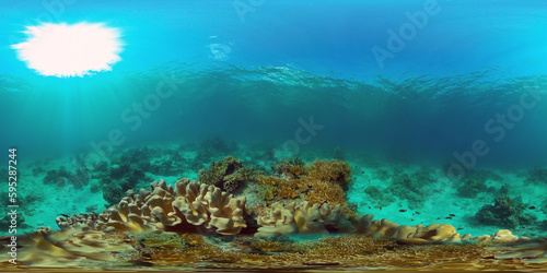 Tropical coral reef seascape with fishes  hard and soft corals. Underwater video. Philippines. 360 panorama VR