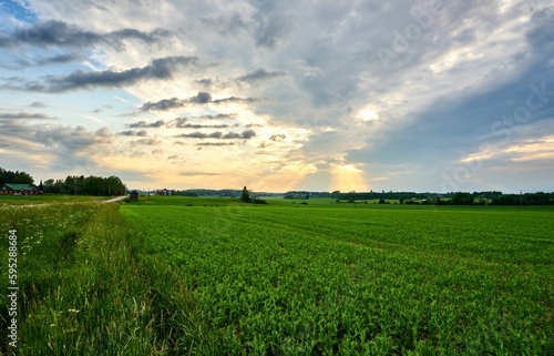 a large green field with lots of trees in the background