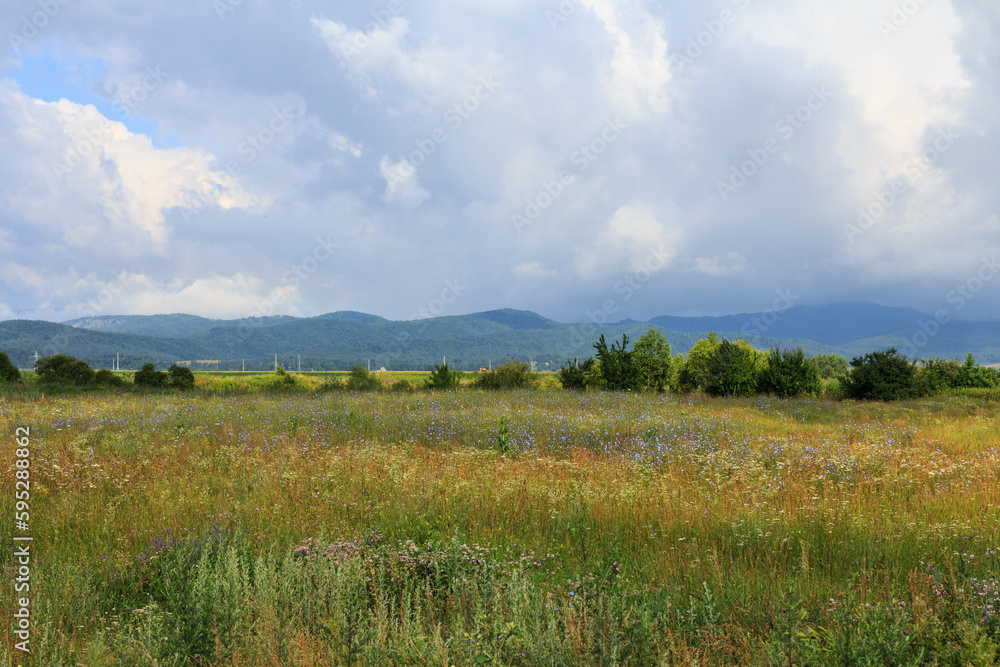 View of a field and mountains in the Transylvania region. Romania