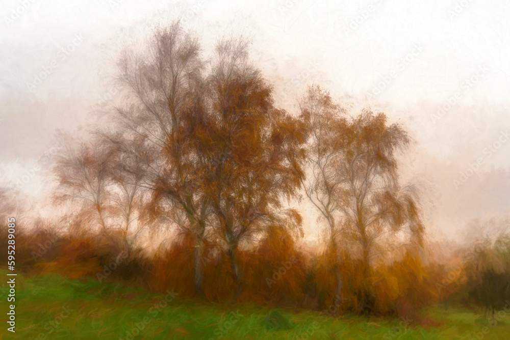 Fototapeta premium Digital watercolour of a silver Birch with golden autumnal leaves at Park Hall Country Park, Staffordshire.