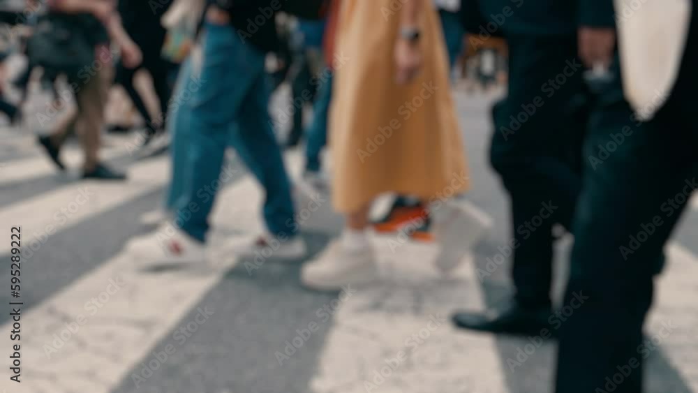 Many pedestrians crossing on the road, Shibuya in Tokyo in Japan, Business or people, Blurred, Slow motion Many pedestrians crossing on the road, Shibuya in Tokyo in Japan, Business or people, Blurred, Slow motion