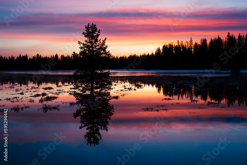 Vibrant sunrise reflecting on water with pine trees - Lassen County California USA
