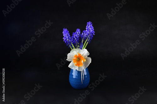 The beautiful grape hyacinth and the blueberry in a blue ceramic vase. 
Focused on the center of the grape hyacinth.