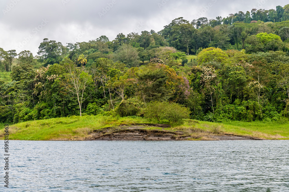 A view trees on the shoreline of the Arenal Lake in Costa Rica during the dry season