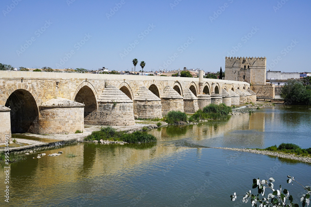 Roman bridge and Torre de Calahorra in Cordoba,Spain