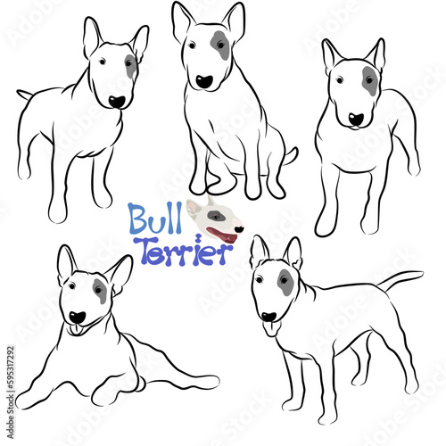 Cute Bull terrier dog doodle. Collection in different poses in free hand drawn illustration style.